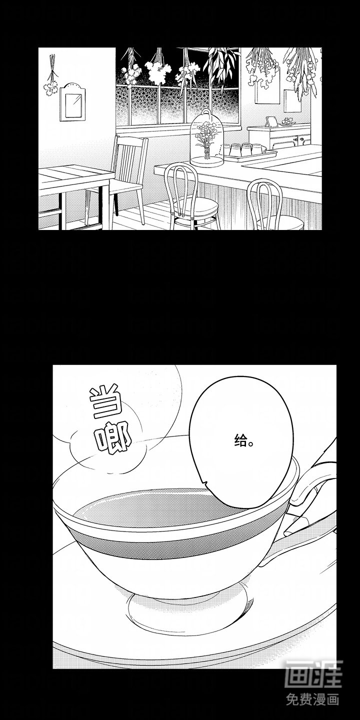 第5章：绝对不能