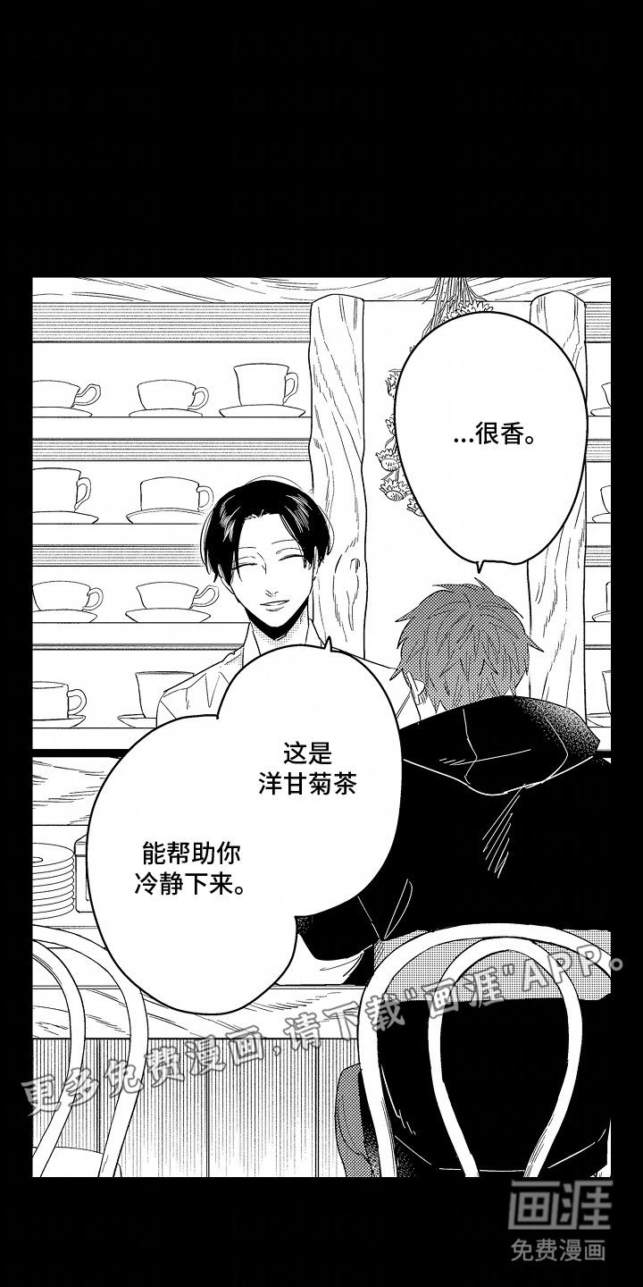 第5章：绝对不能