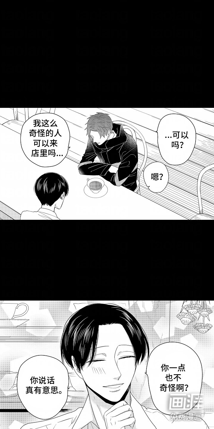 第5章：绝对不能