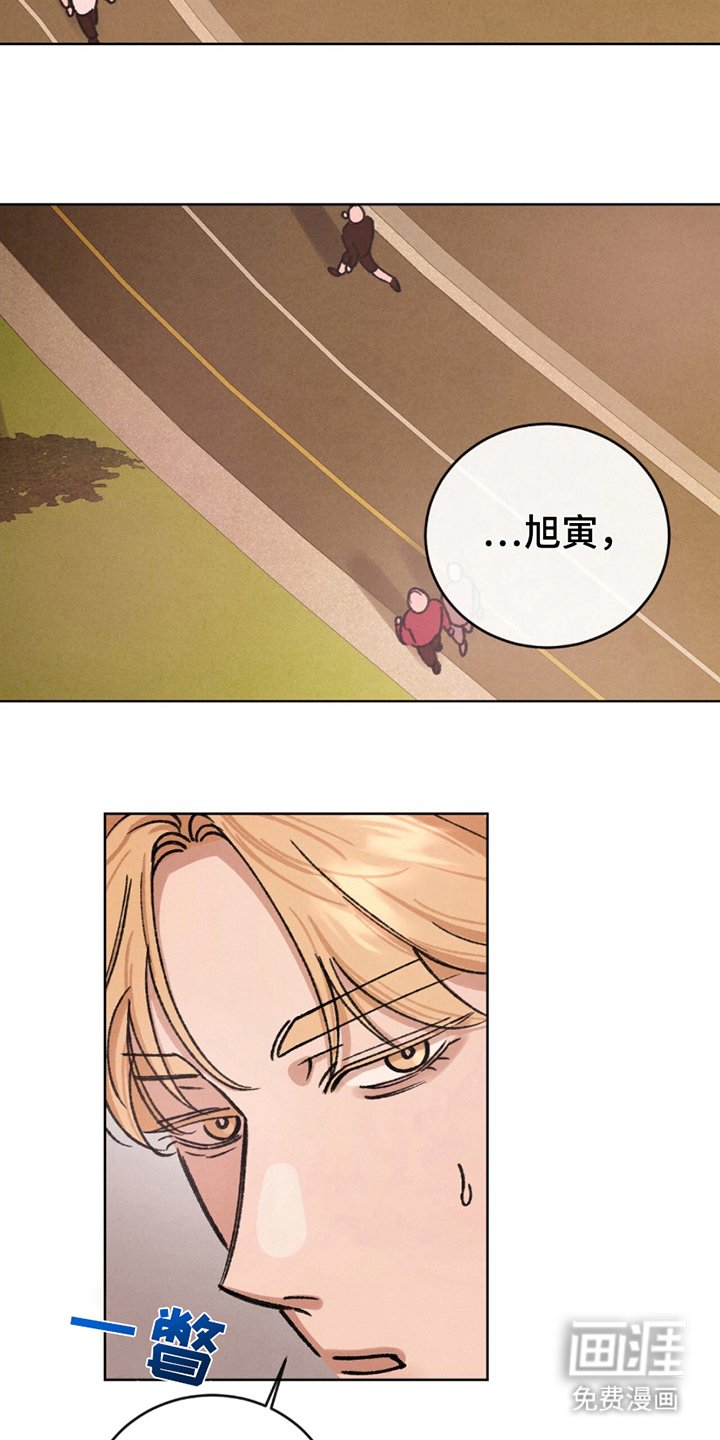 第9章：新鲜感