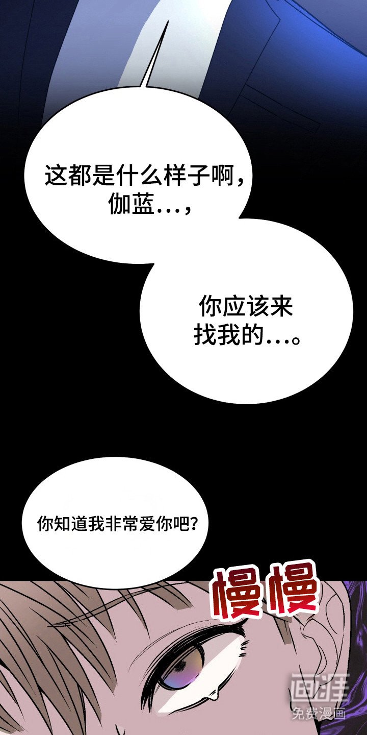 第15章：赞助人