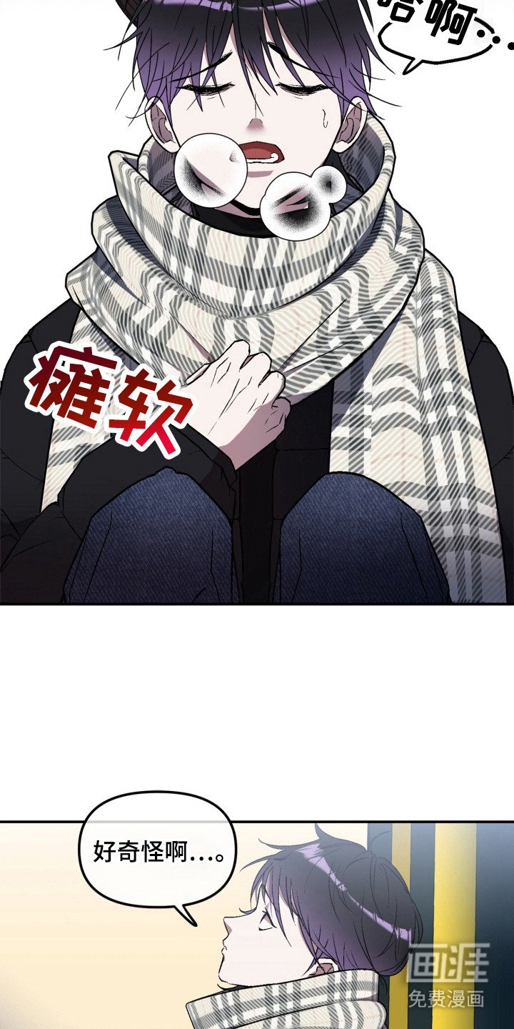 第3章：粉丝