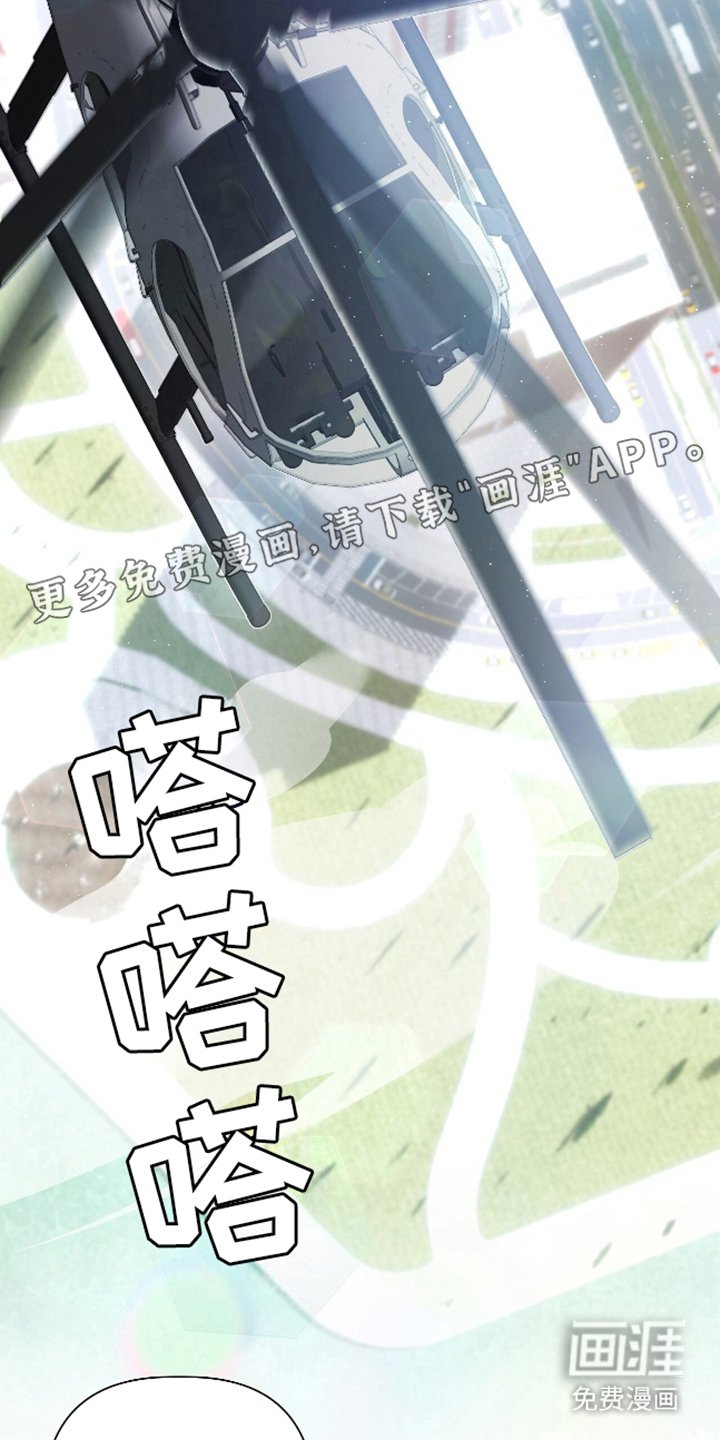第1章：特殊信息素