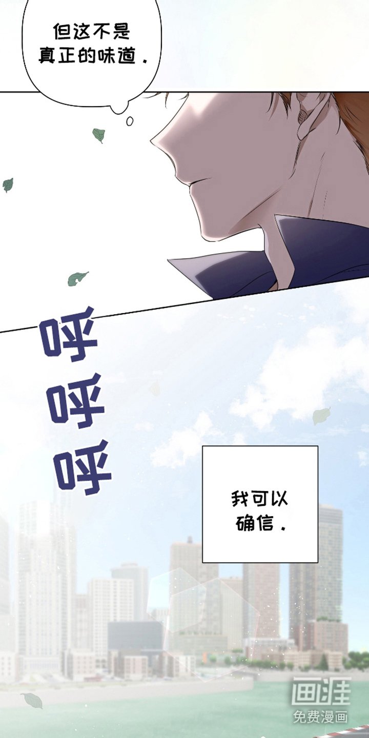 第1章：特殊信息素
