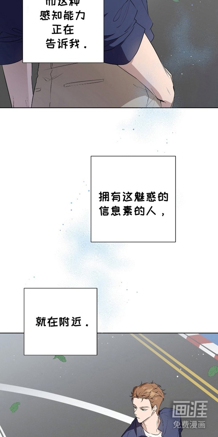 第1章：特殊信息素