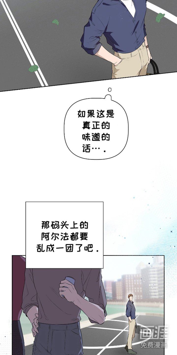 第1章：特殊信息素