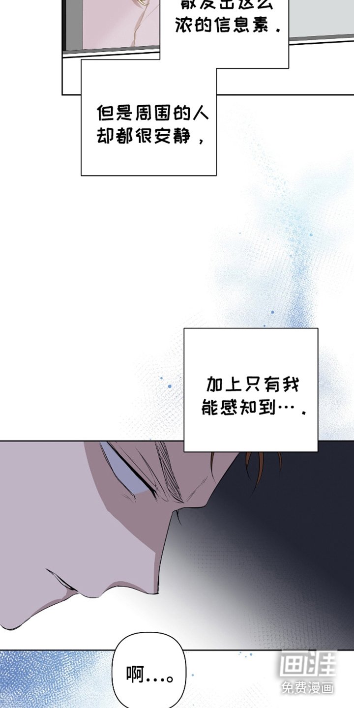 第1章：特殊信息素