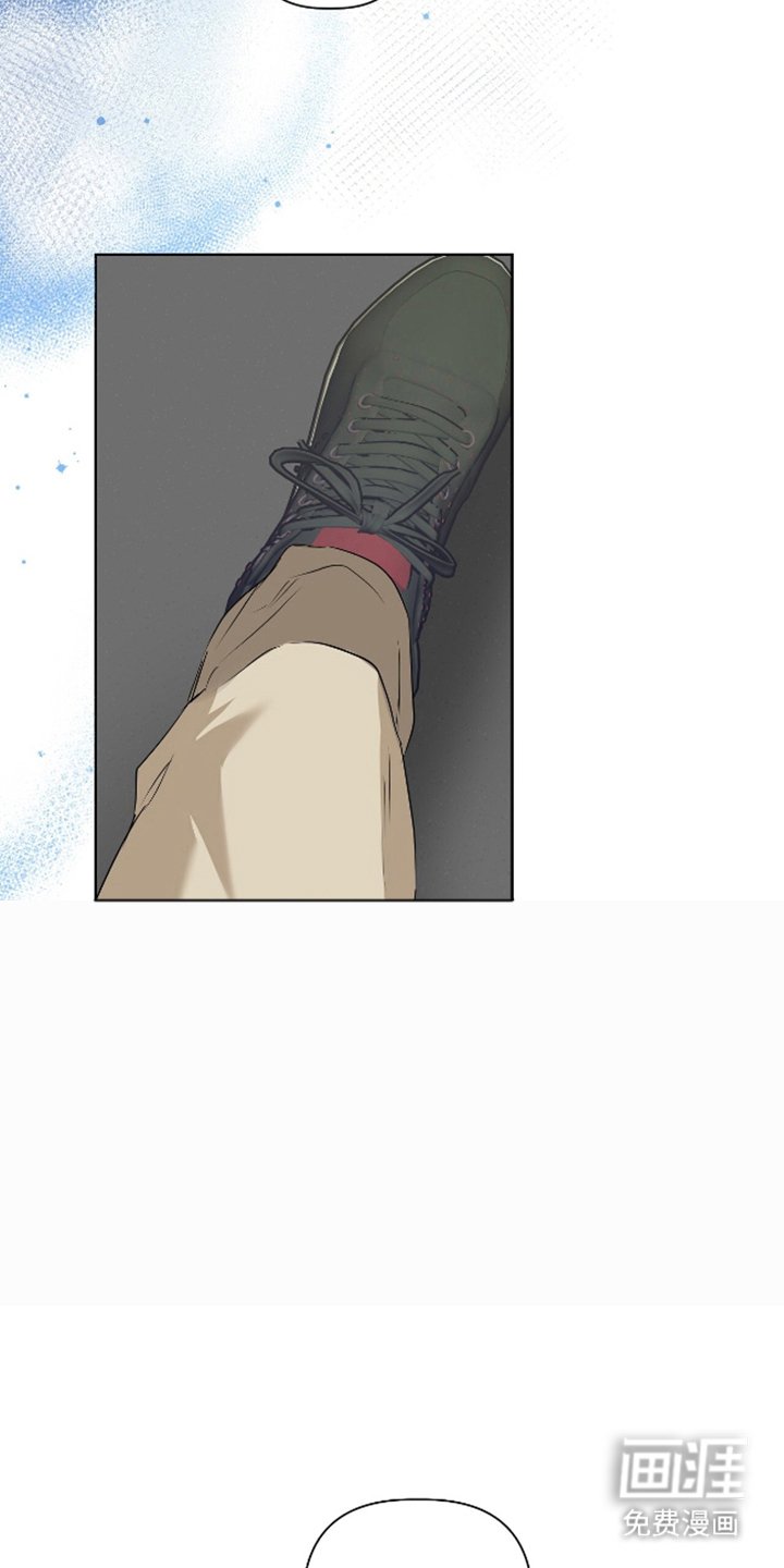 第1章：特殊信息素