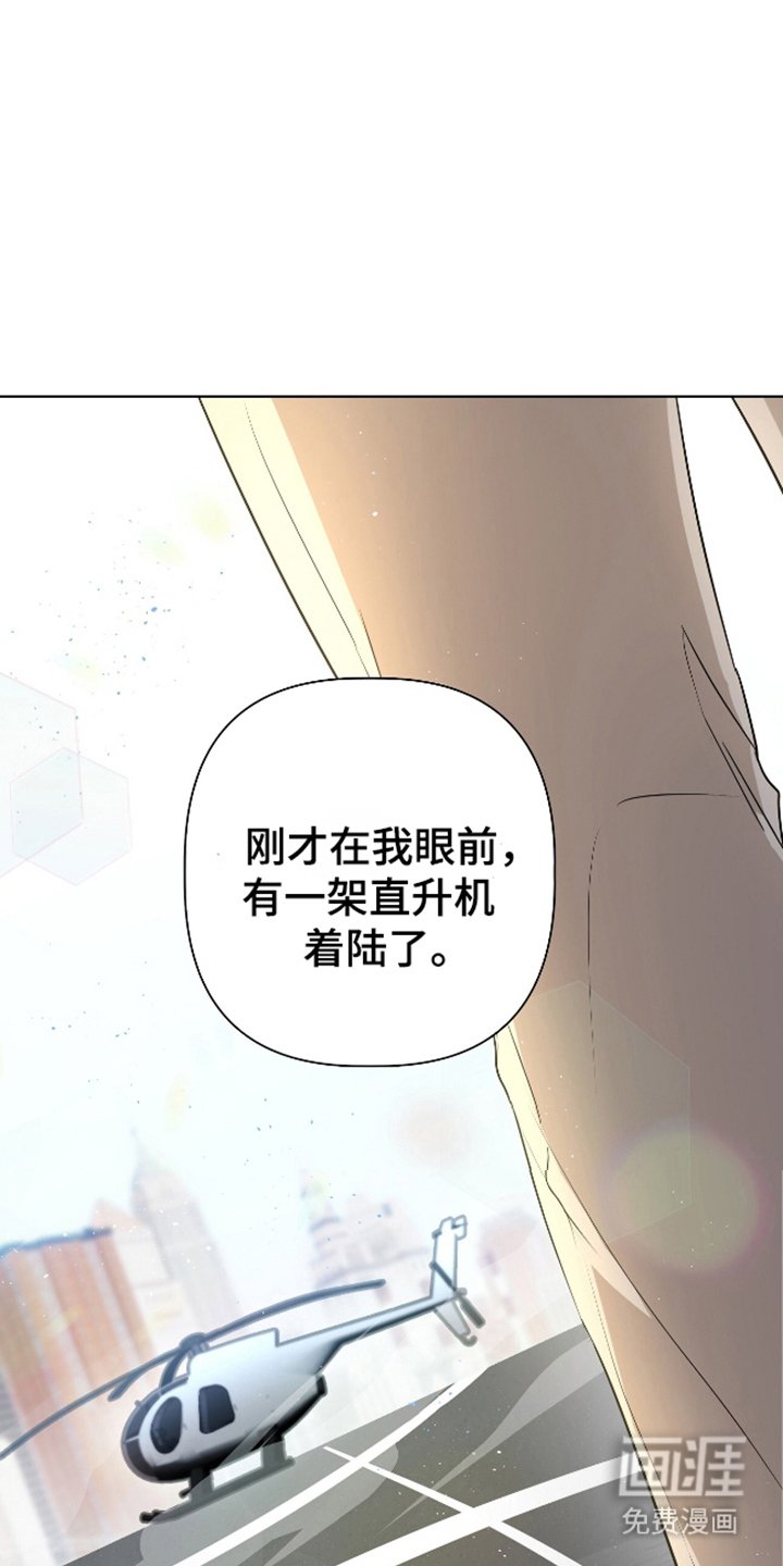 第1章：特殊信息素