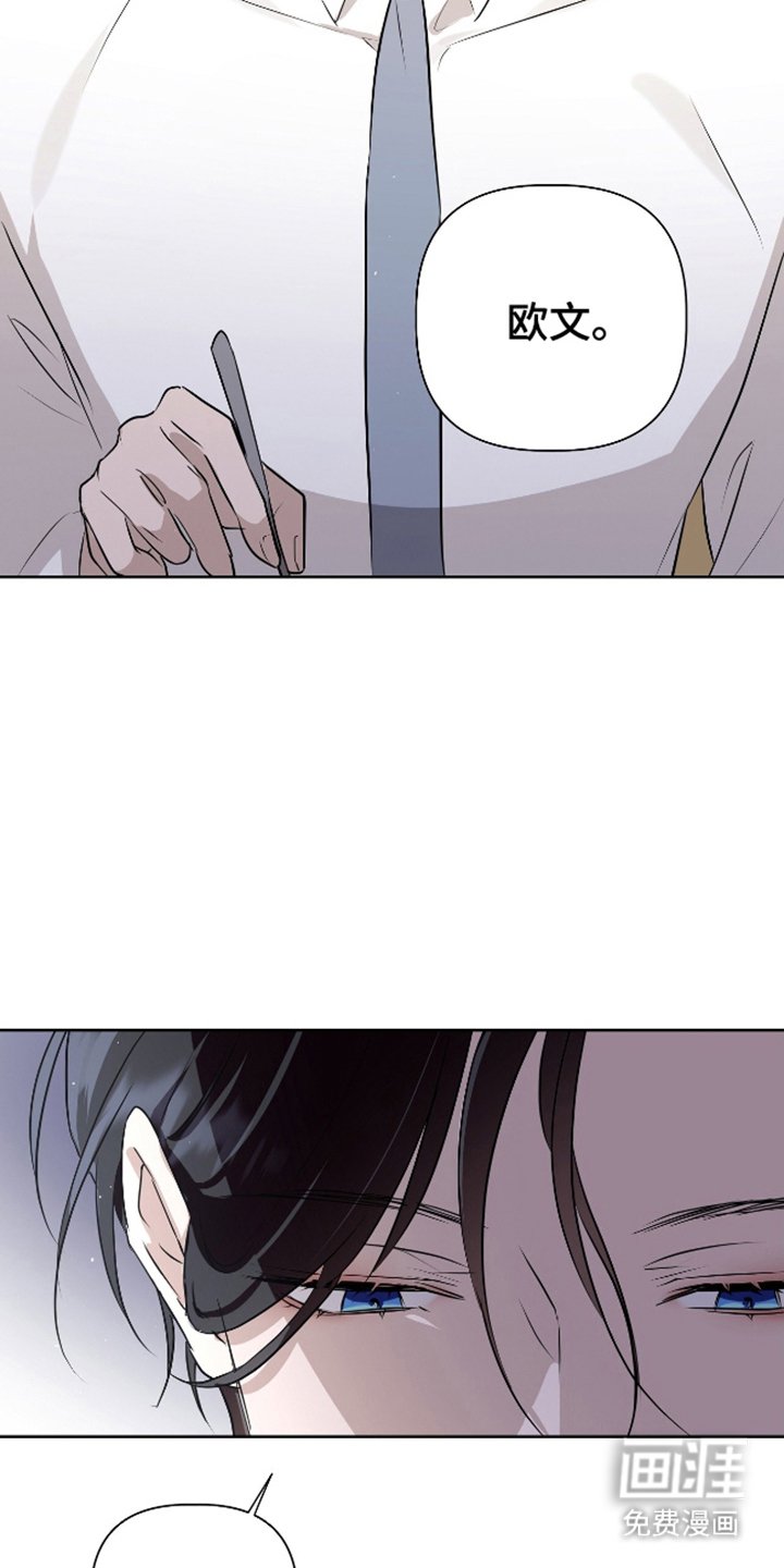 第12章：我的看法