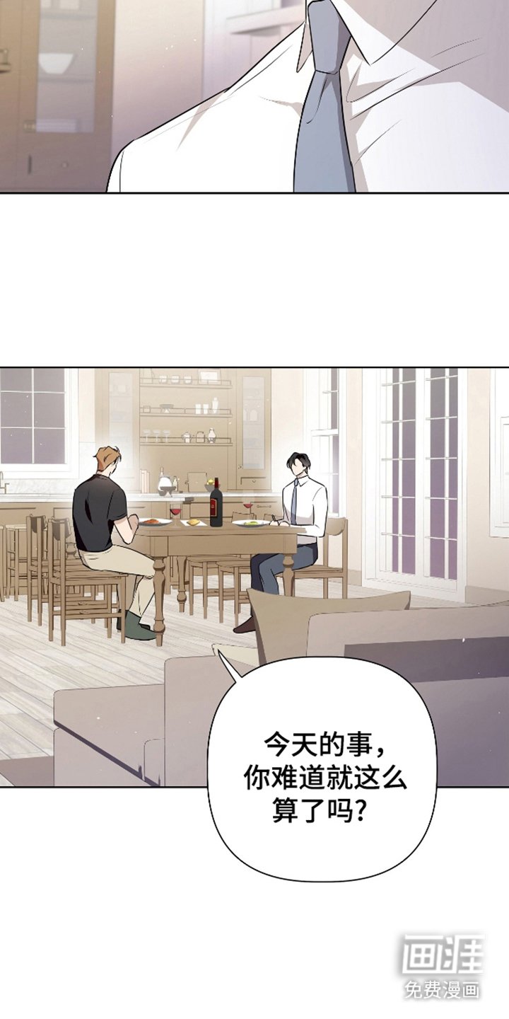 第12章：我的看法