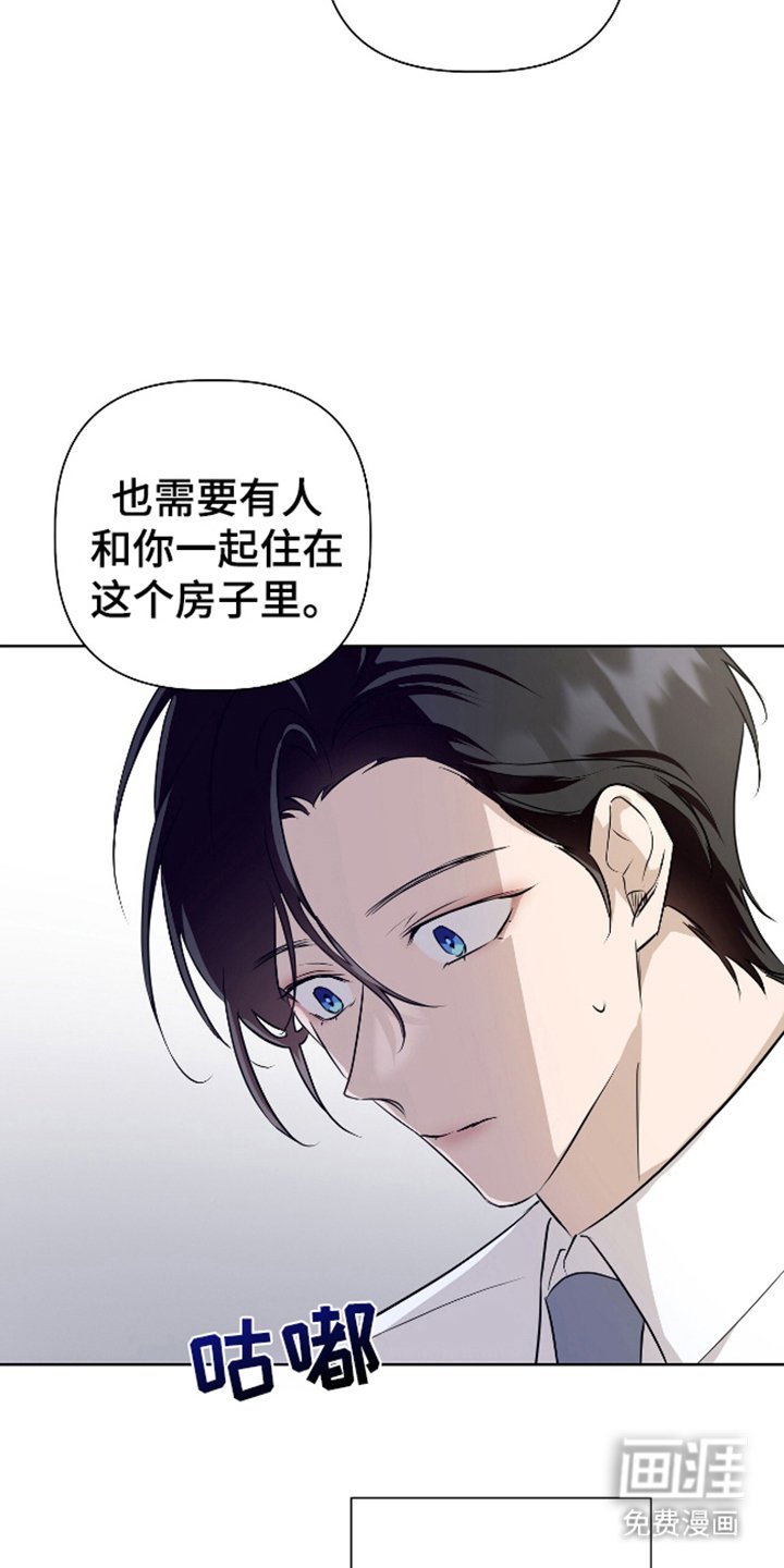 第12章：我的看法