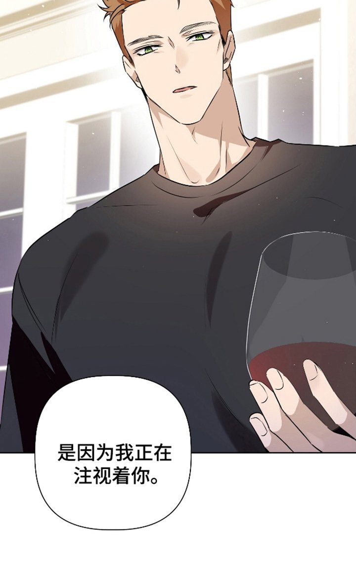 第12章：我的看法