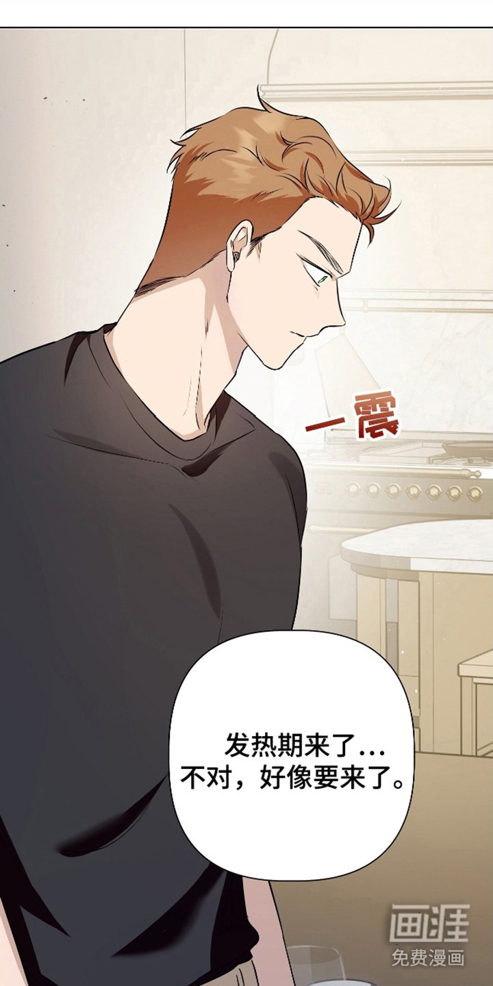 第14章：错觉吗