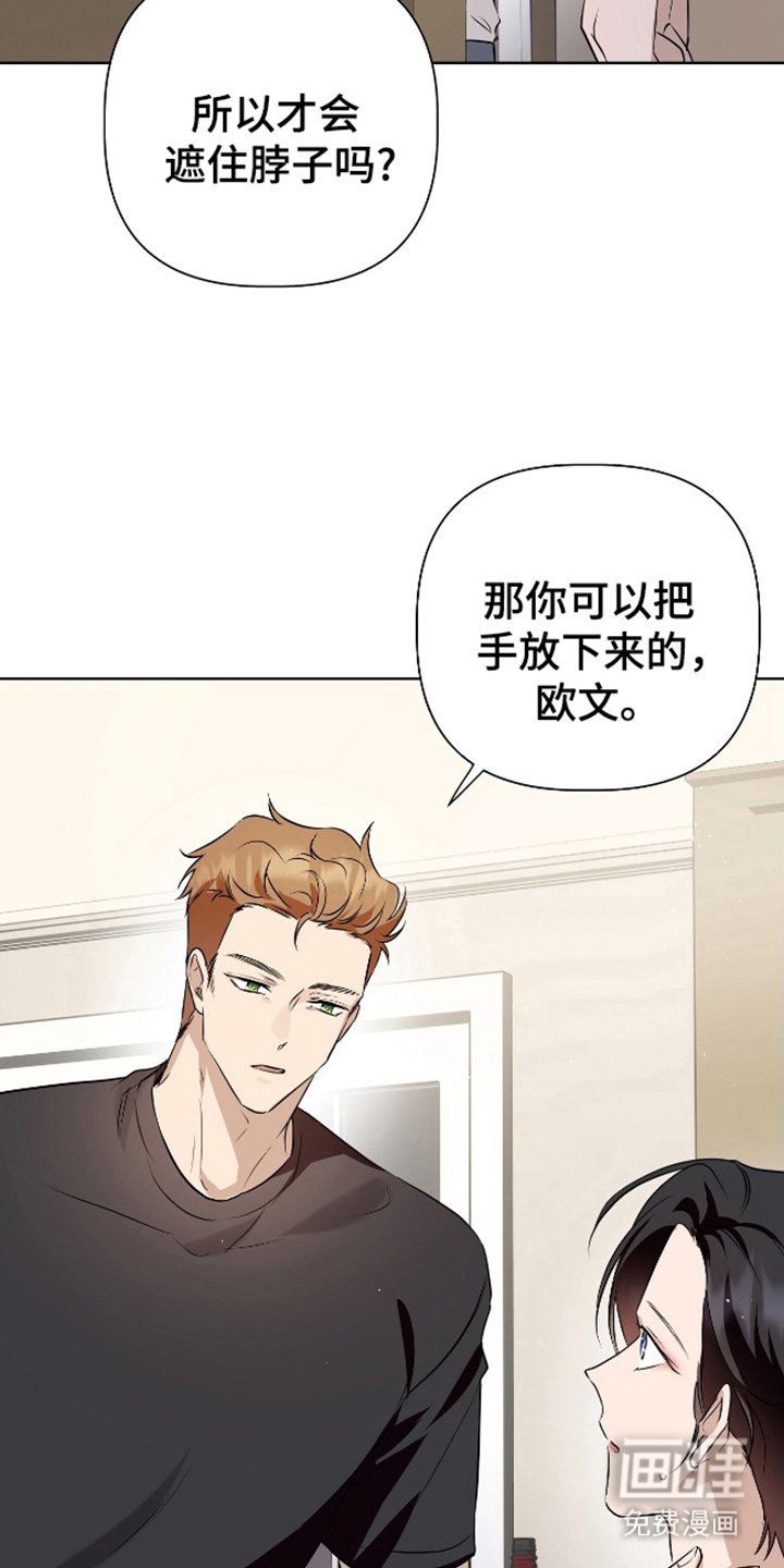 第14章：错觉吗
