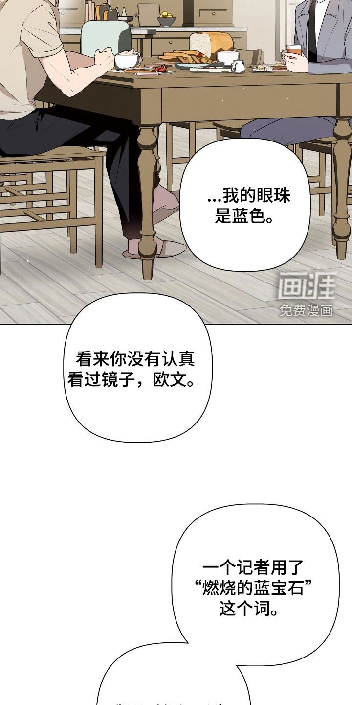 第17章：燃烧的蓝宝石
