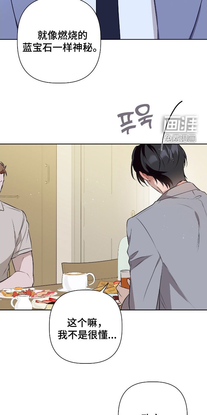 第17章：燃烧的蓝宝石