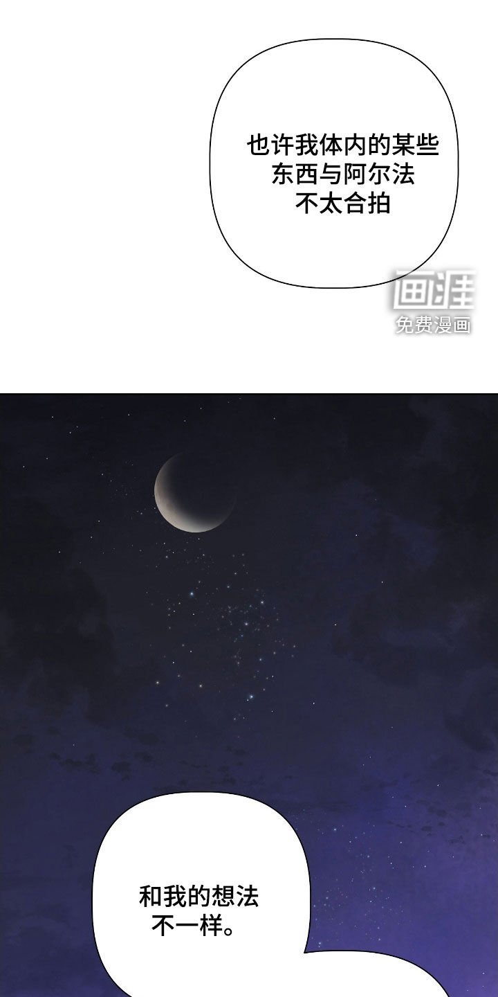 第33章：提议