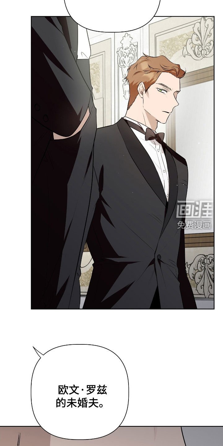 第39章：未婚夫