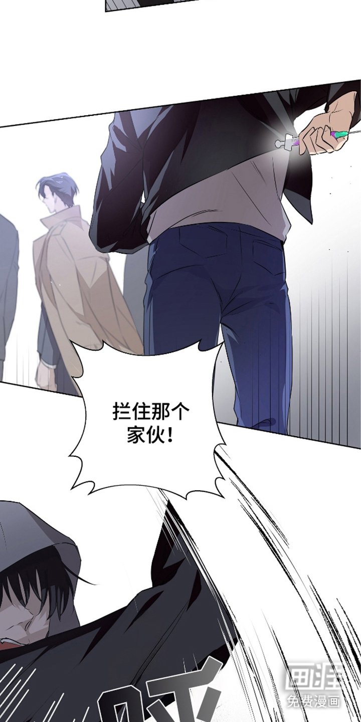 第4章：停下