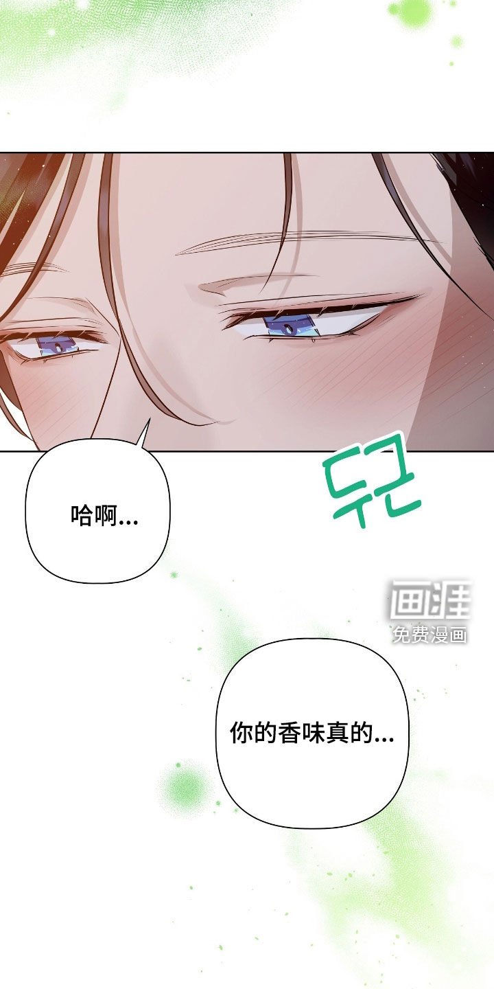 第42章：很帅气