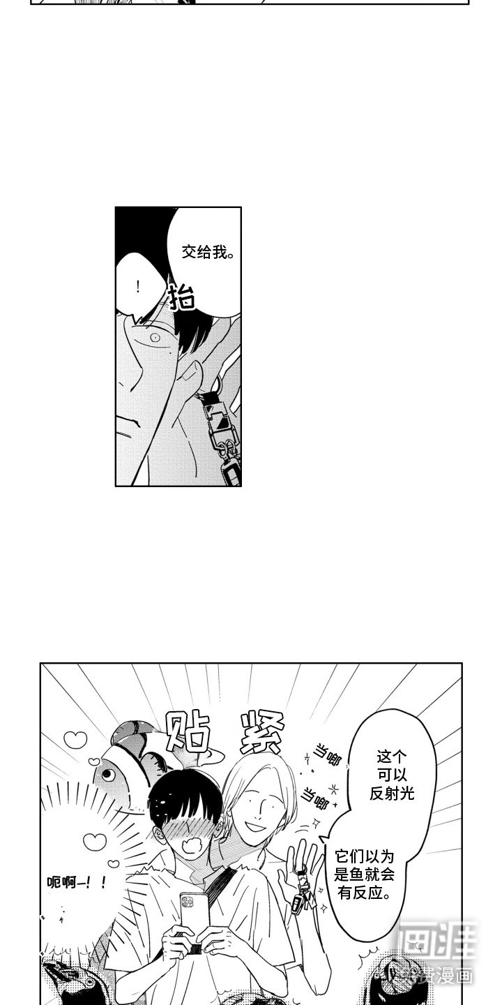 第23章：野餐