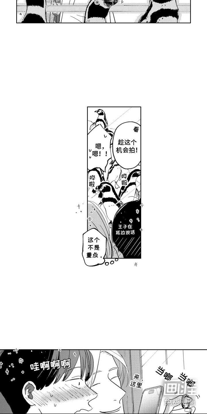 第23章：野餐