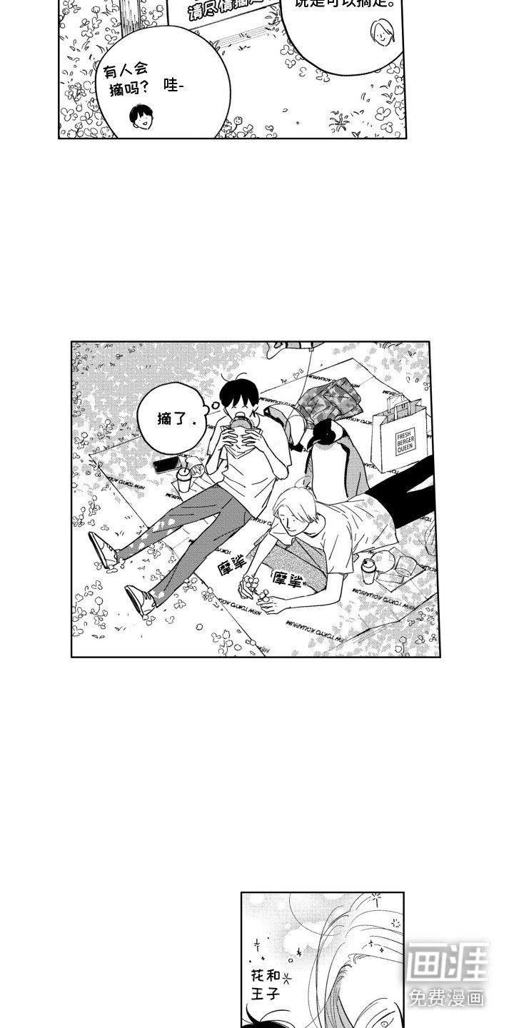第23章：野餐