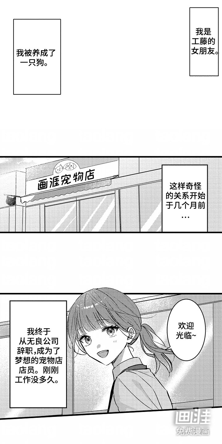 第1章：一见钟情