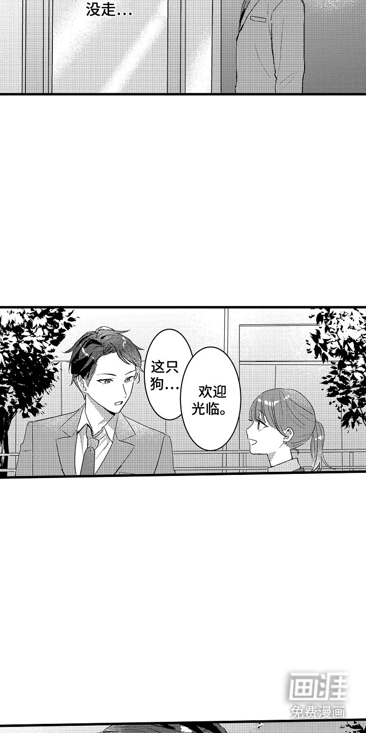 第1章：一见钟情