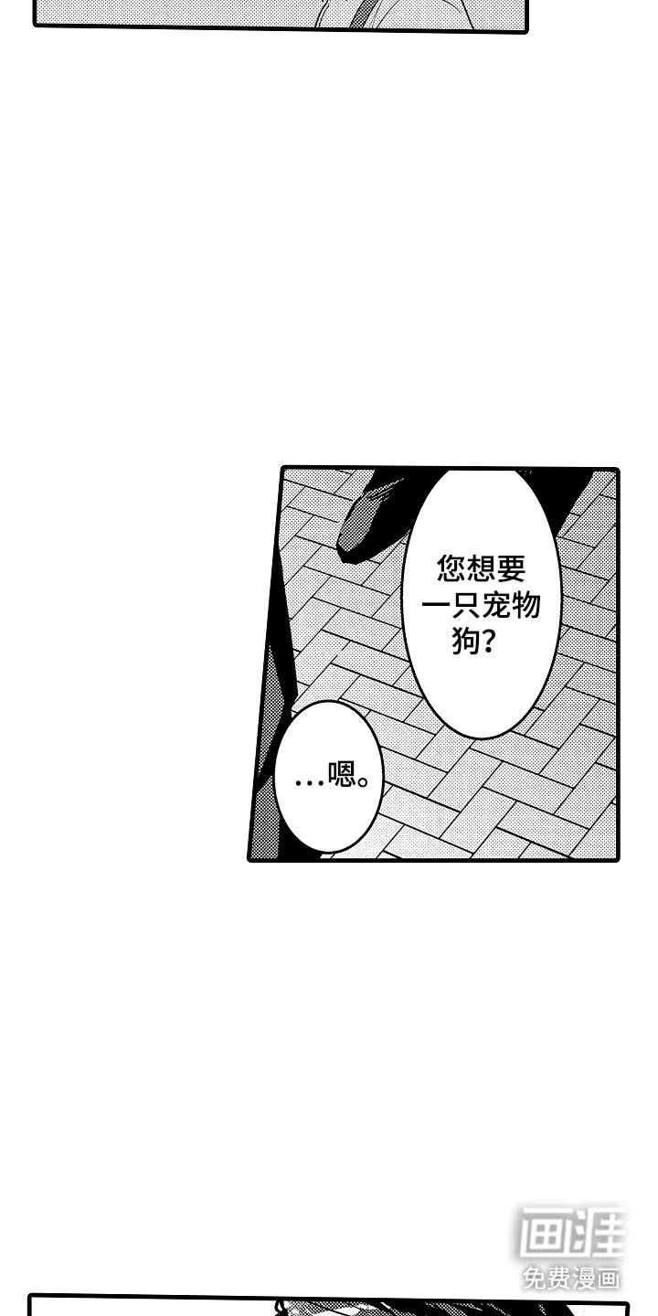 第1章：一见钟情
