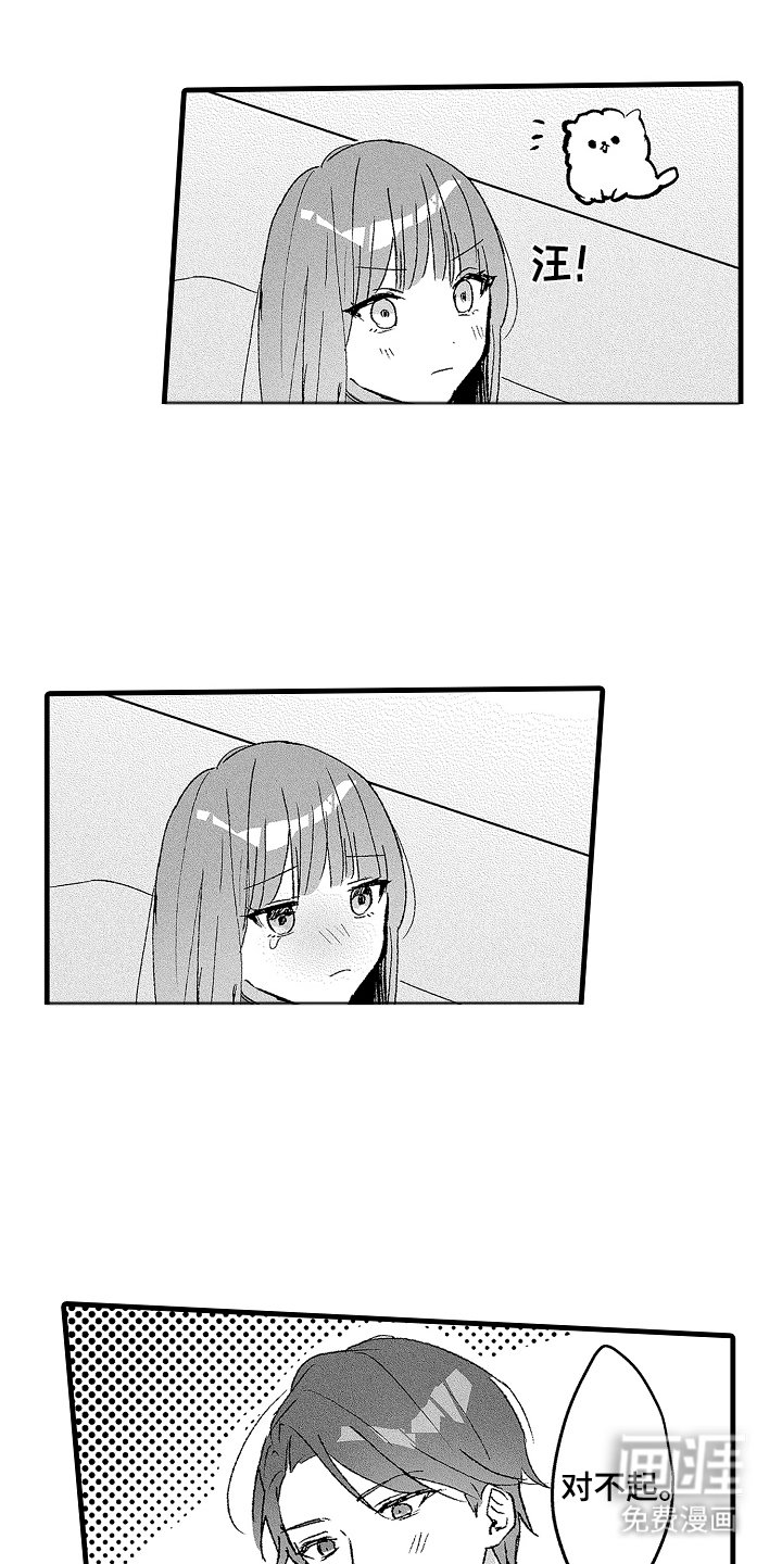 第13章：宠物