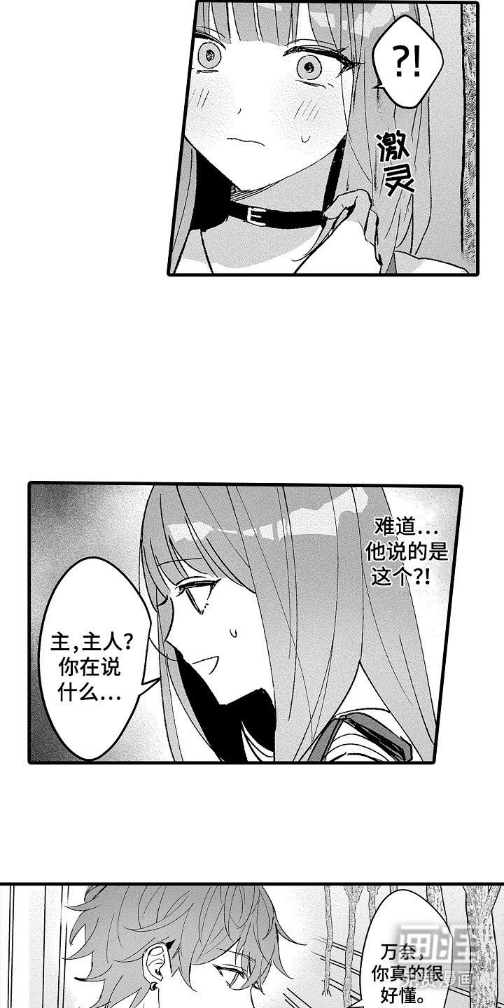 第13章：宠物