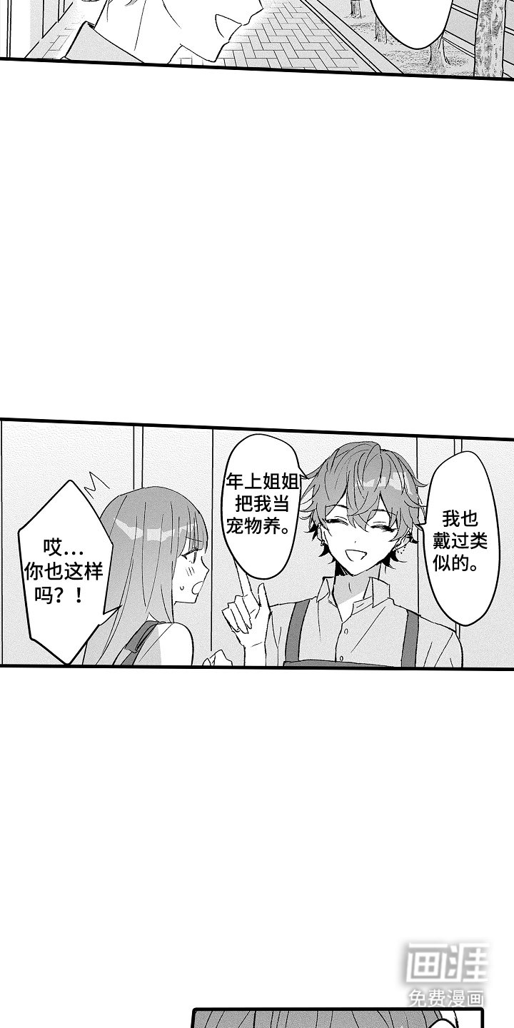 第13章：宠物