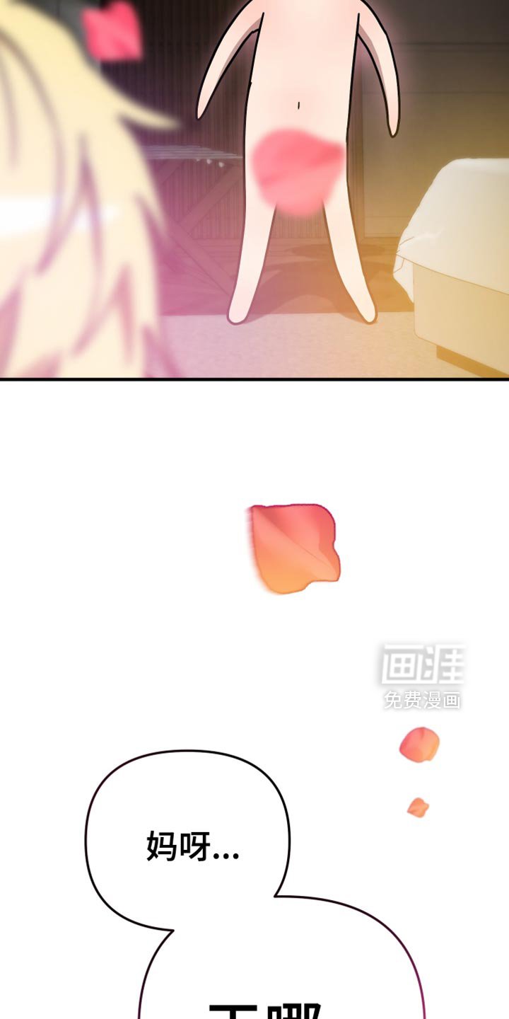 第23章：要不要放弃