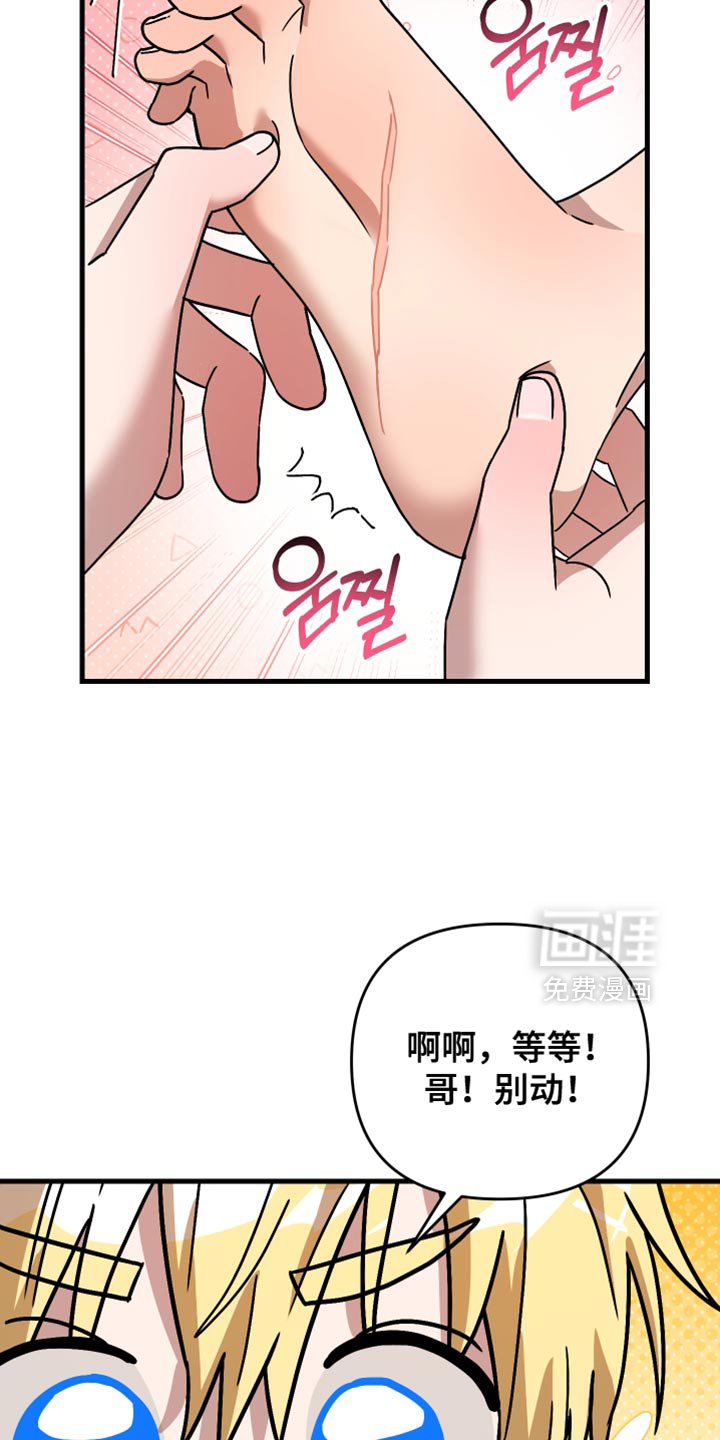 第40章：听说你被骗了