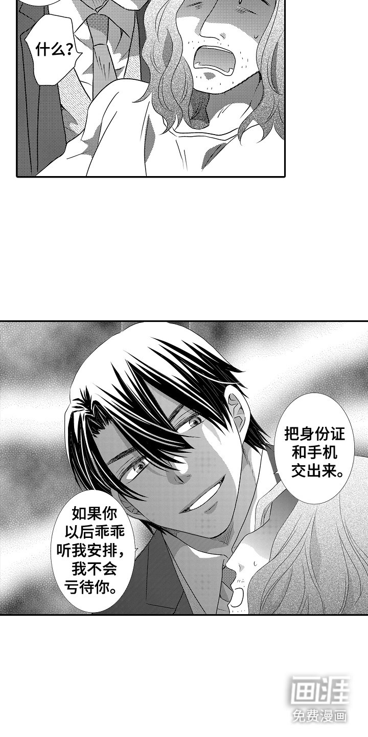 第6章：一只野猫