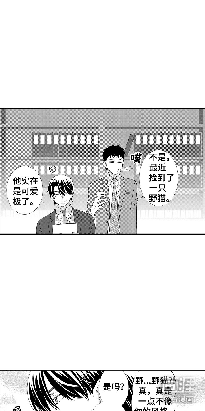 第6章：一只野猫