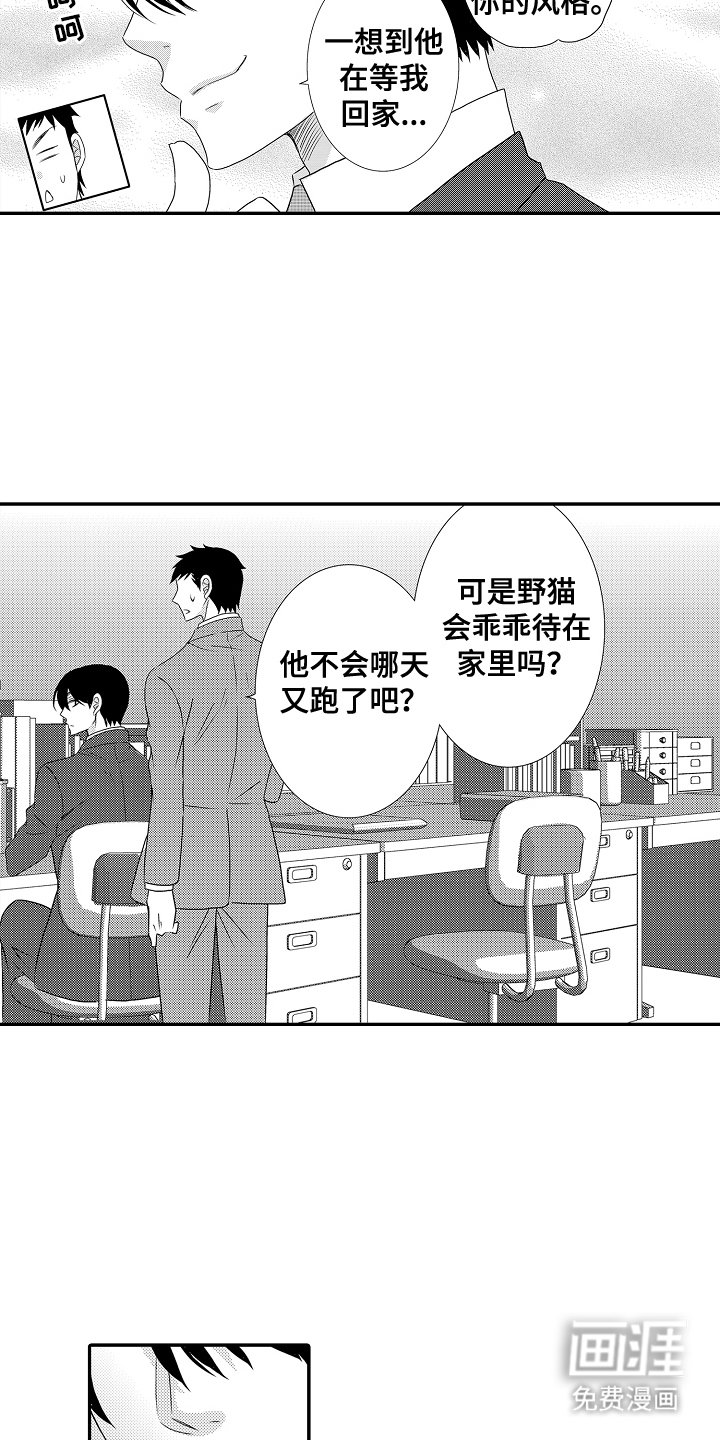 第6章：一只野猫