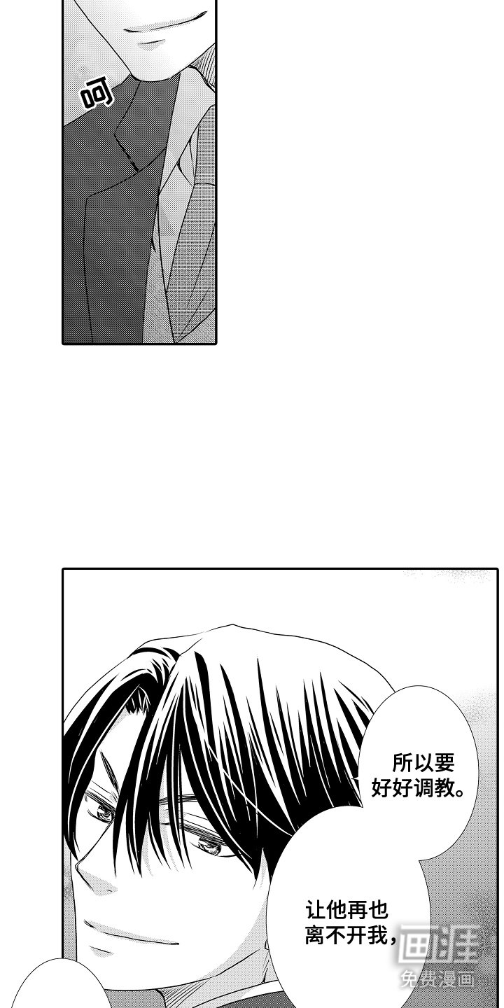 第6章：一只野猫