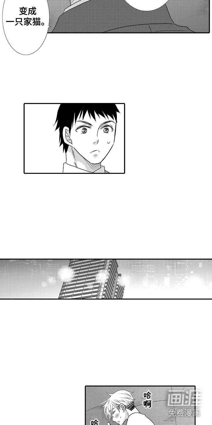 第6章：一只野猫
