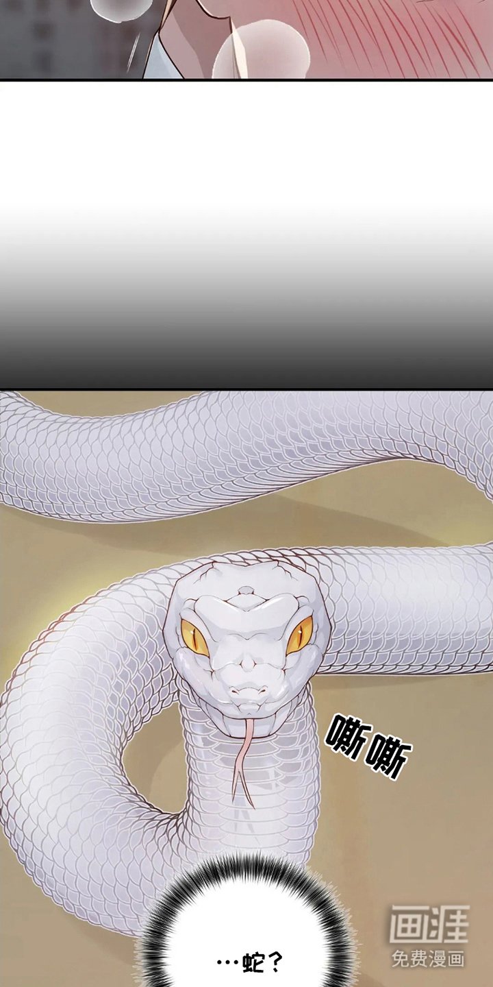 第1章：庇护