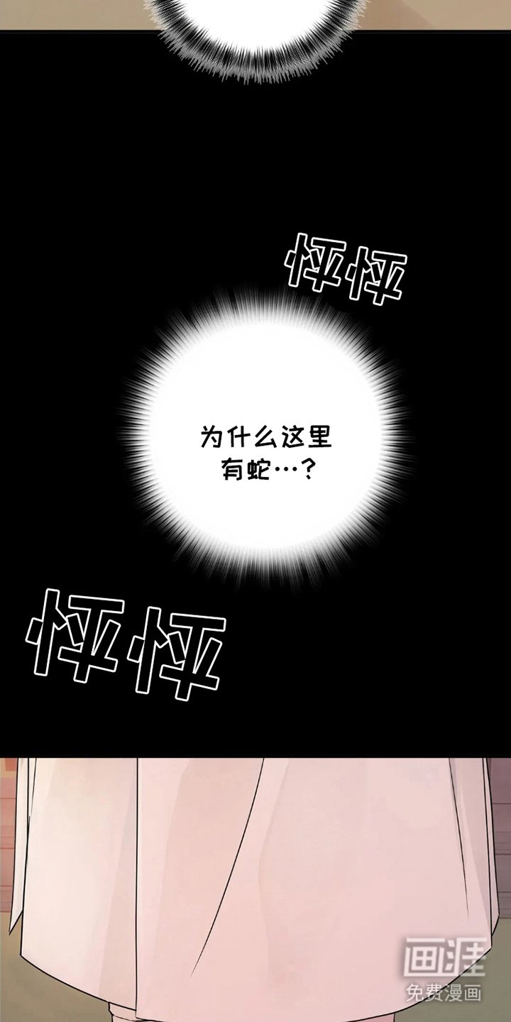 第1章：庇护