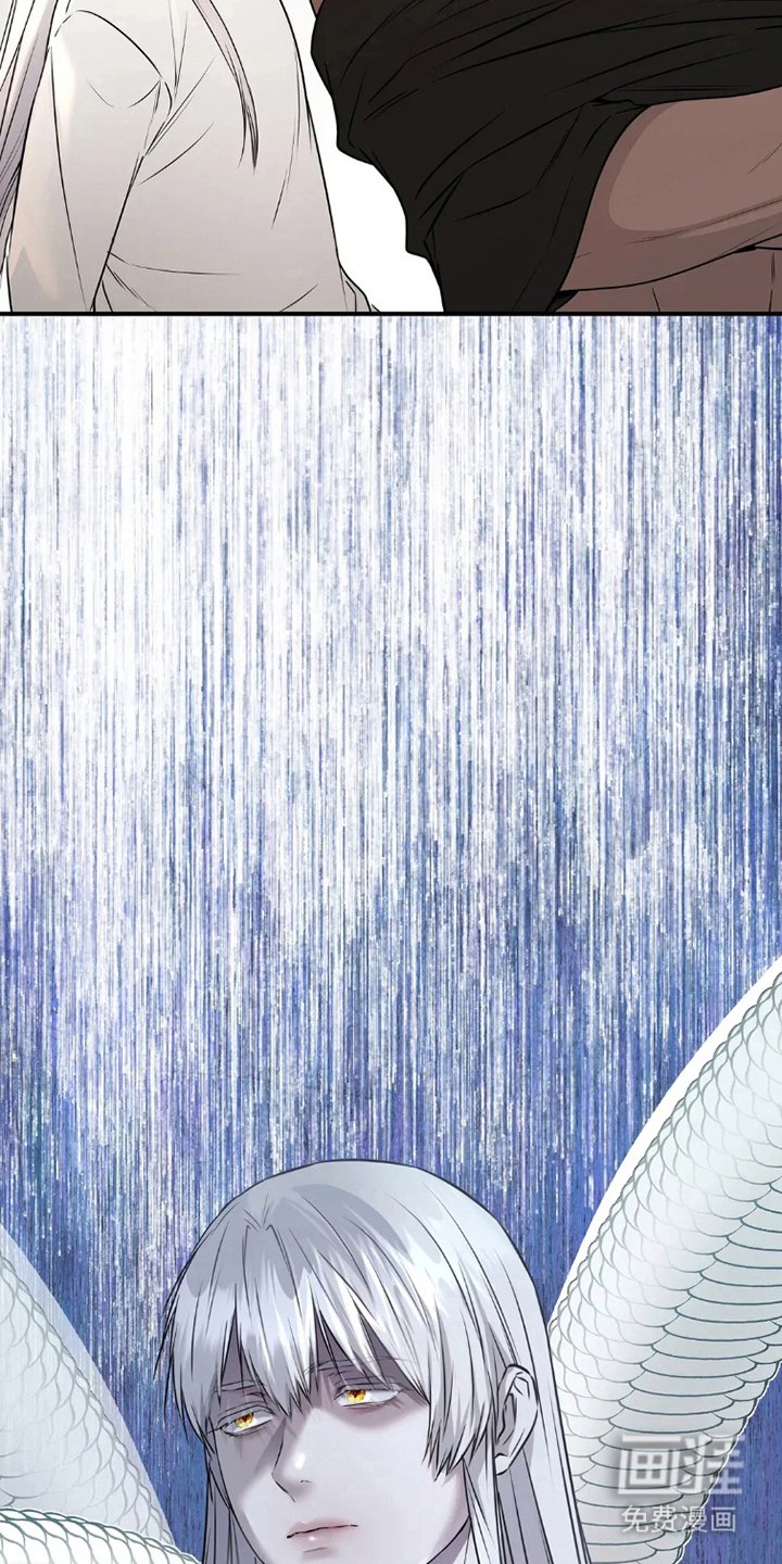 第15章：什么意思