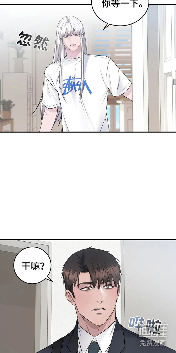 第15章：什么意思