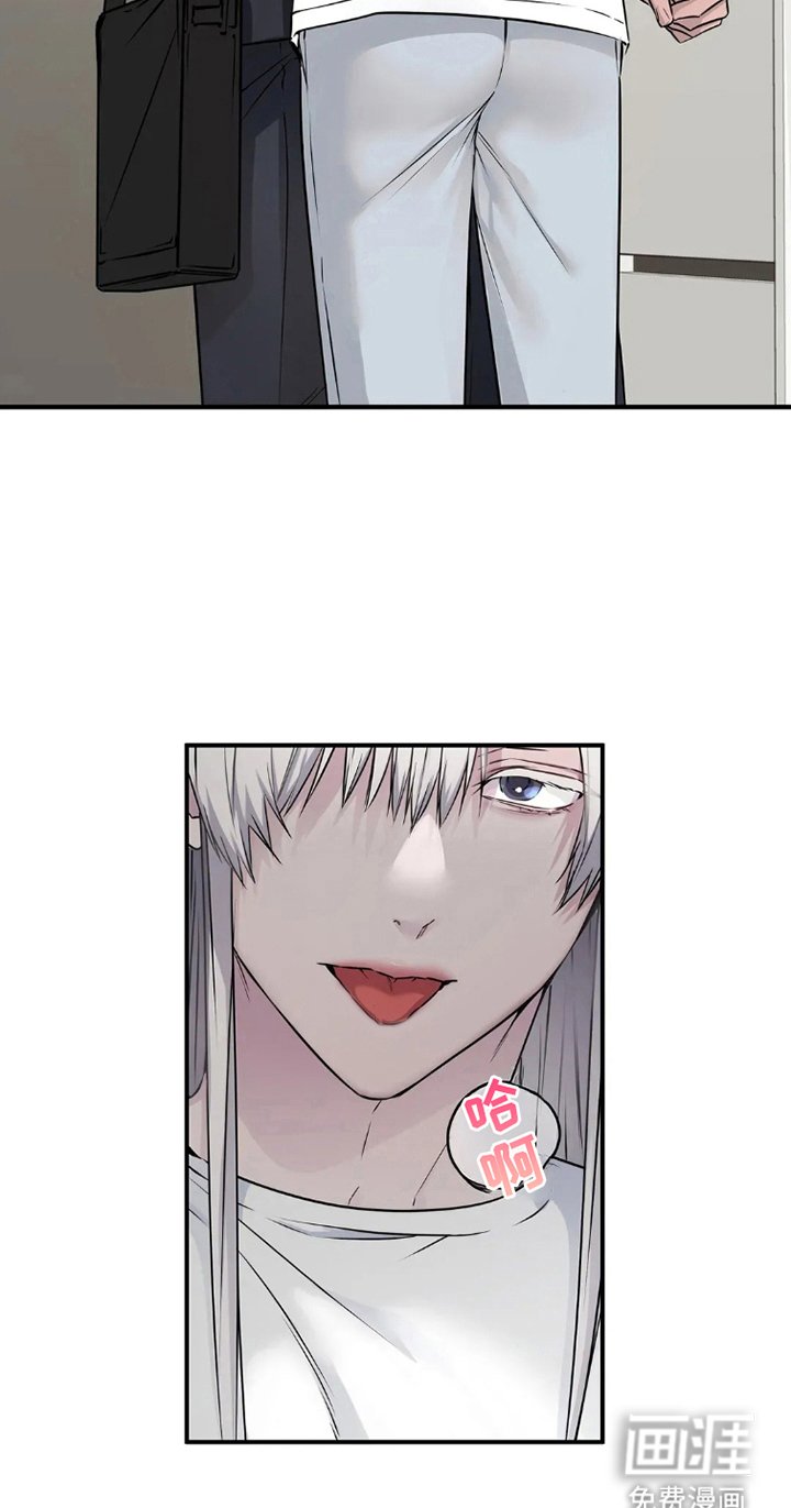 第15章：什么意思
