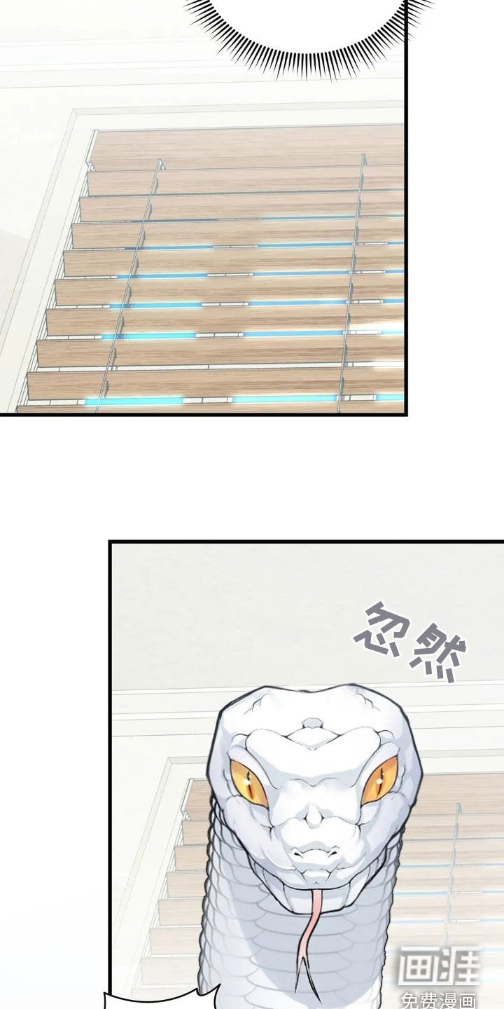 第20章：你想试试别的？