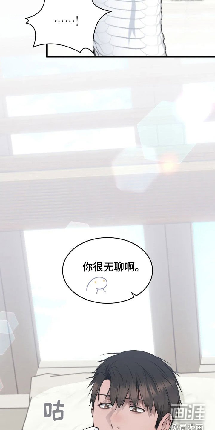 第20章：你想试试别的？