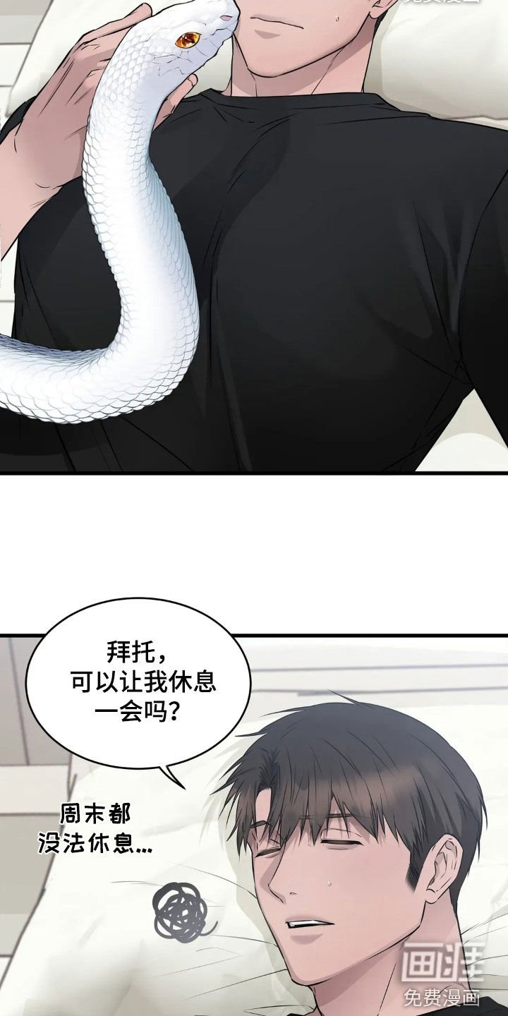第20章：你想试试别的？