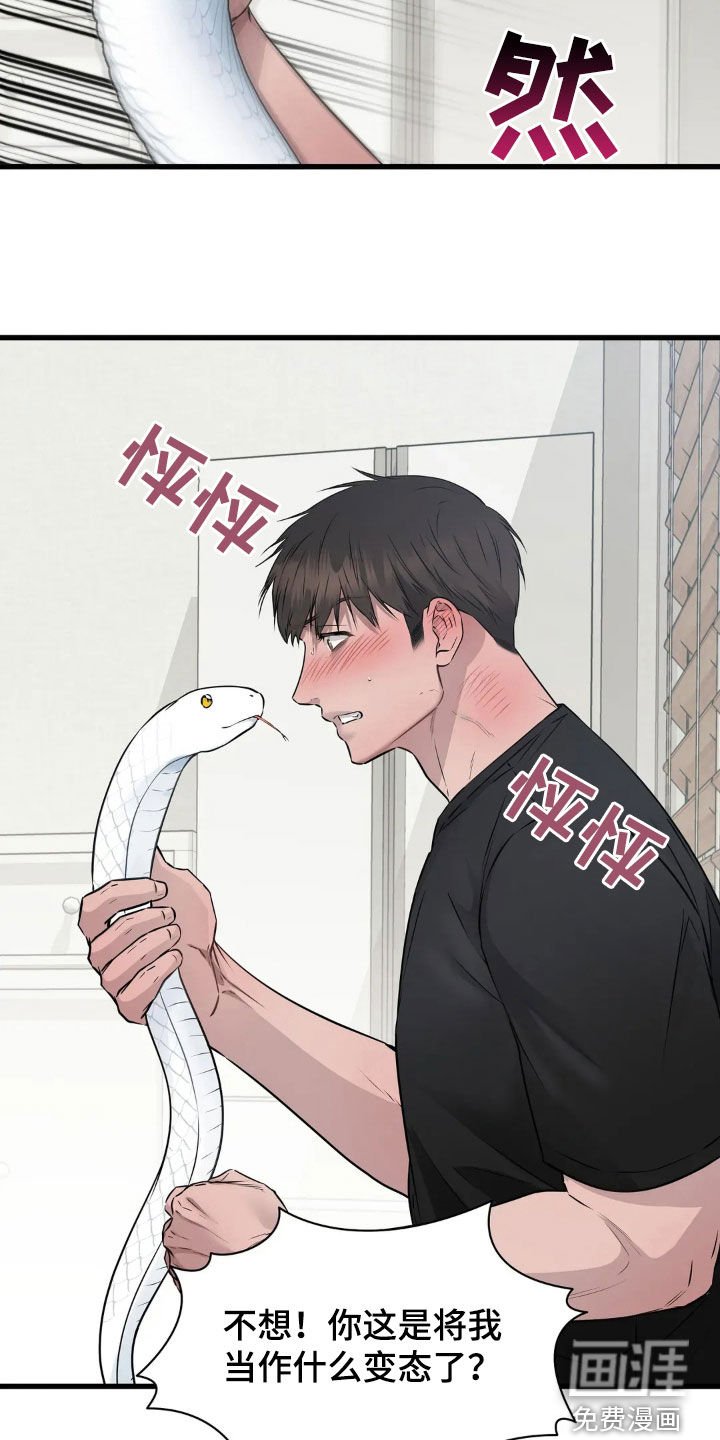 第20章：你想试试别的？